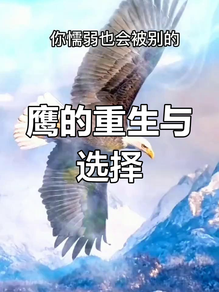 老鹰逆袭雄鹿，取得惊人的胜利
